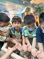 22_23挪亞方舟親子之旅 (64)